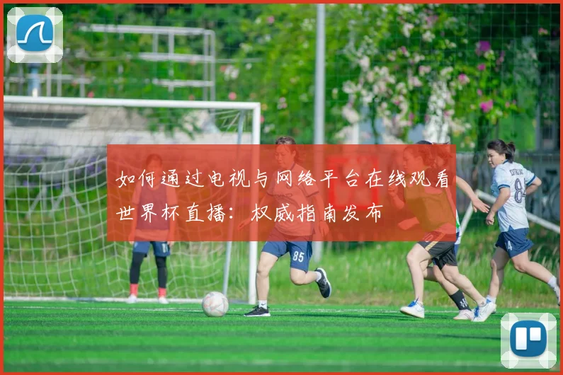 如何通过电视与网络平台在线观看世界杯直播：权威指南发布
