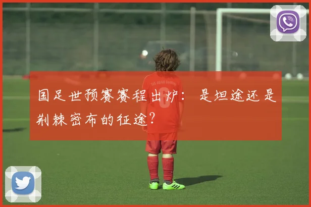 国足世预赛赛程出炉：是坦途还是荆棘密布的征途？