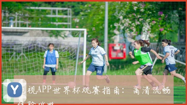 电视APP世界杯观赛指南：高清流畅体验攻略