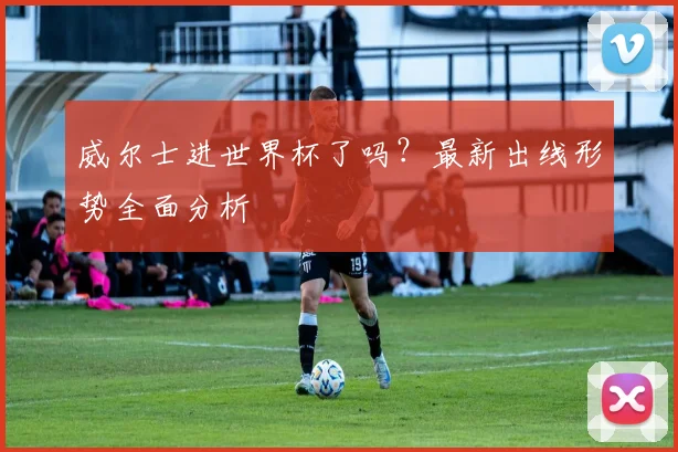 威尔士进世界杯了吗？最新出线形势全面分析